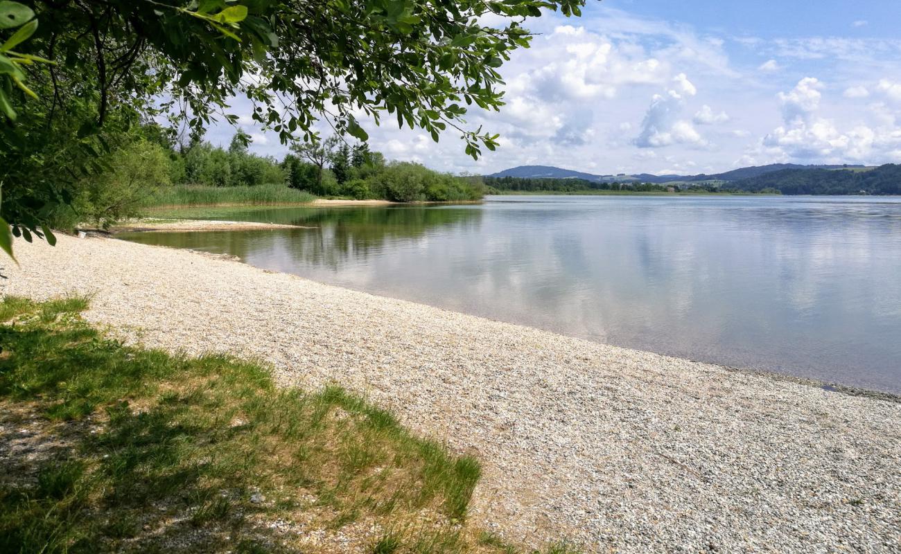 Foto de Naturstrandbad Zell am Wallersee con hierba superficie