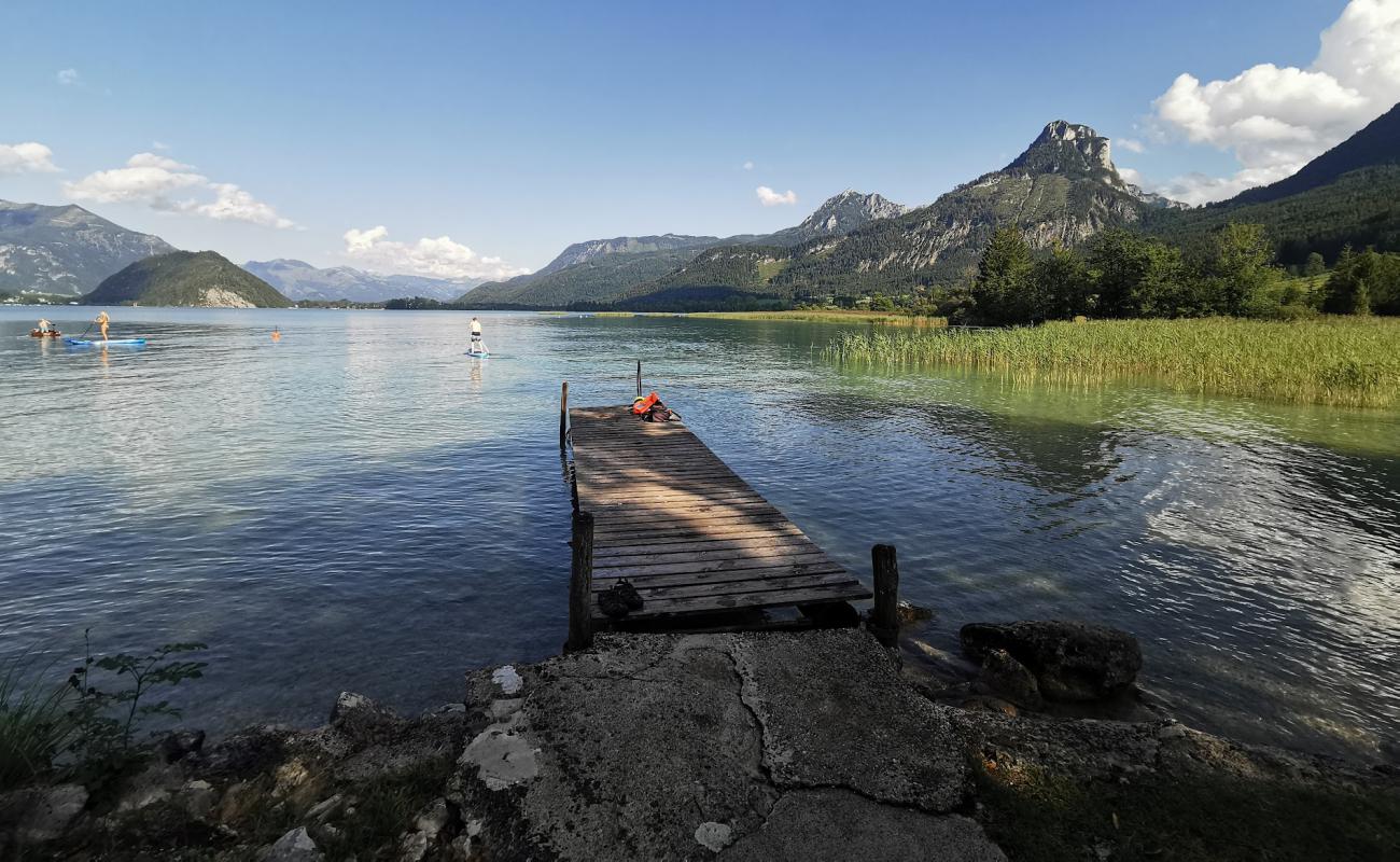 Foto de Zirlerhof Strand con hierba superficie