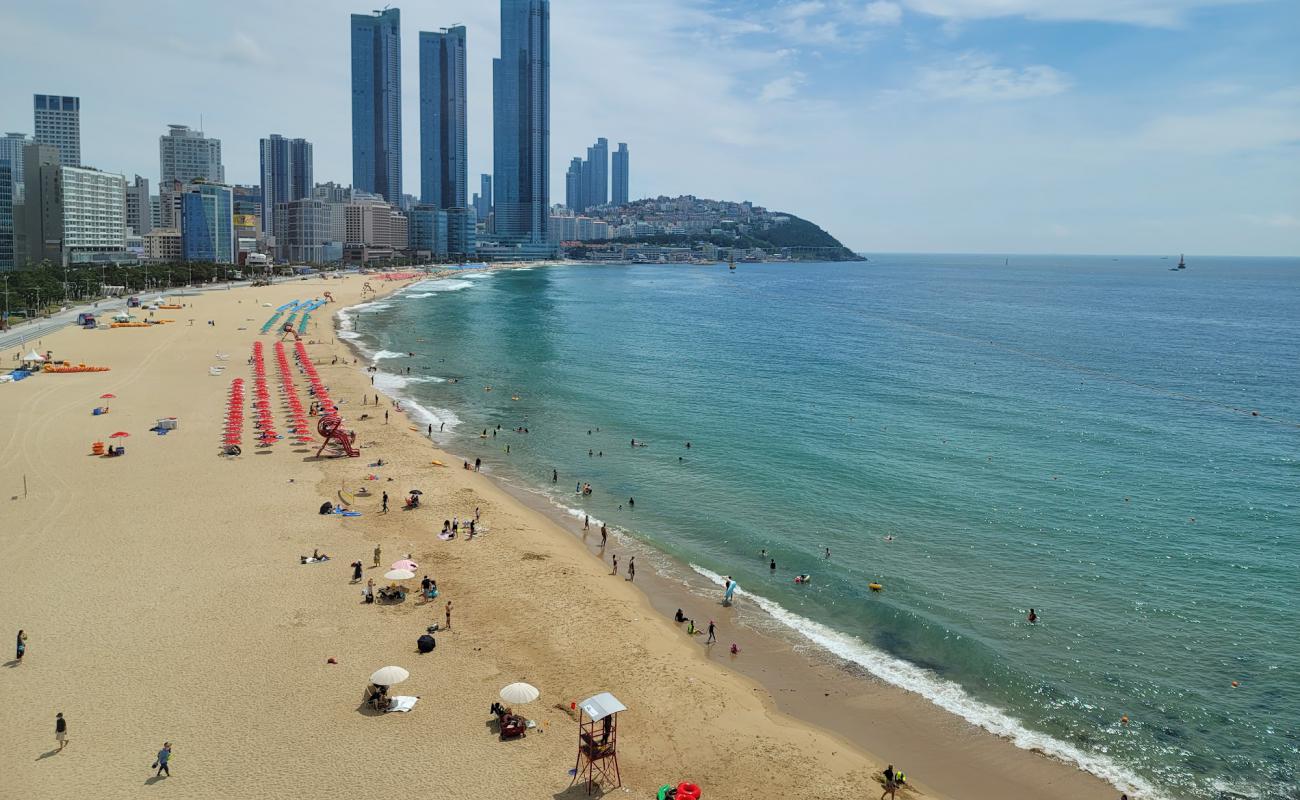 Foto de Playa de Haeundae con brillante arena fina superficie