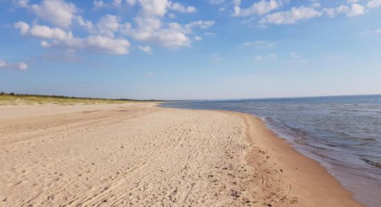 Sventosios naturist beach