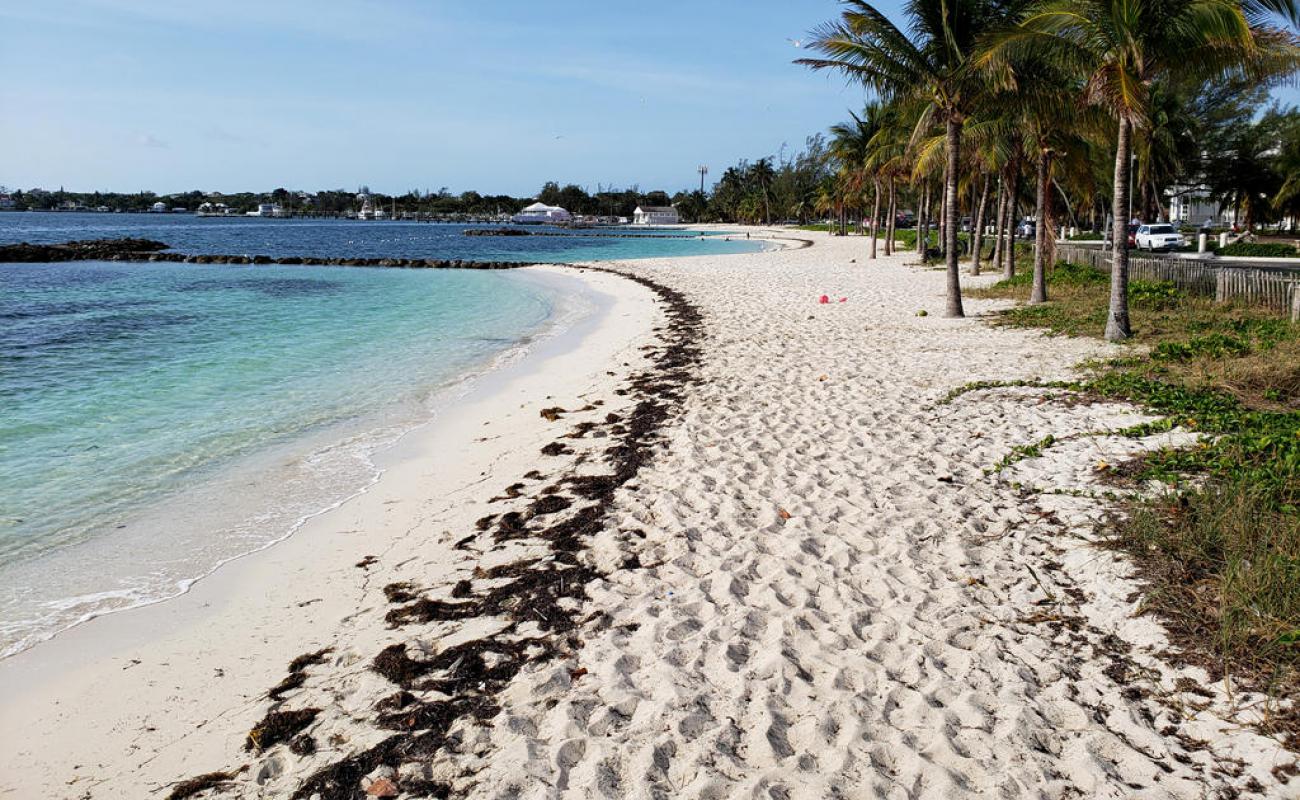 Foto de Montagu beach con arena brillante superficie