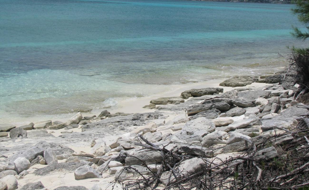 Foto de Flipper beach con arena brillante y rocas superficie