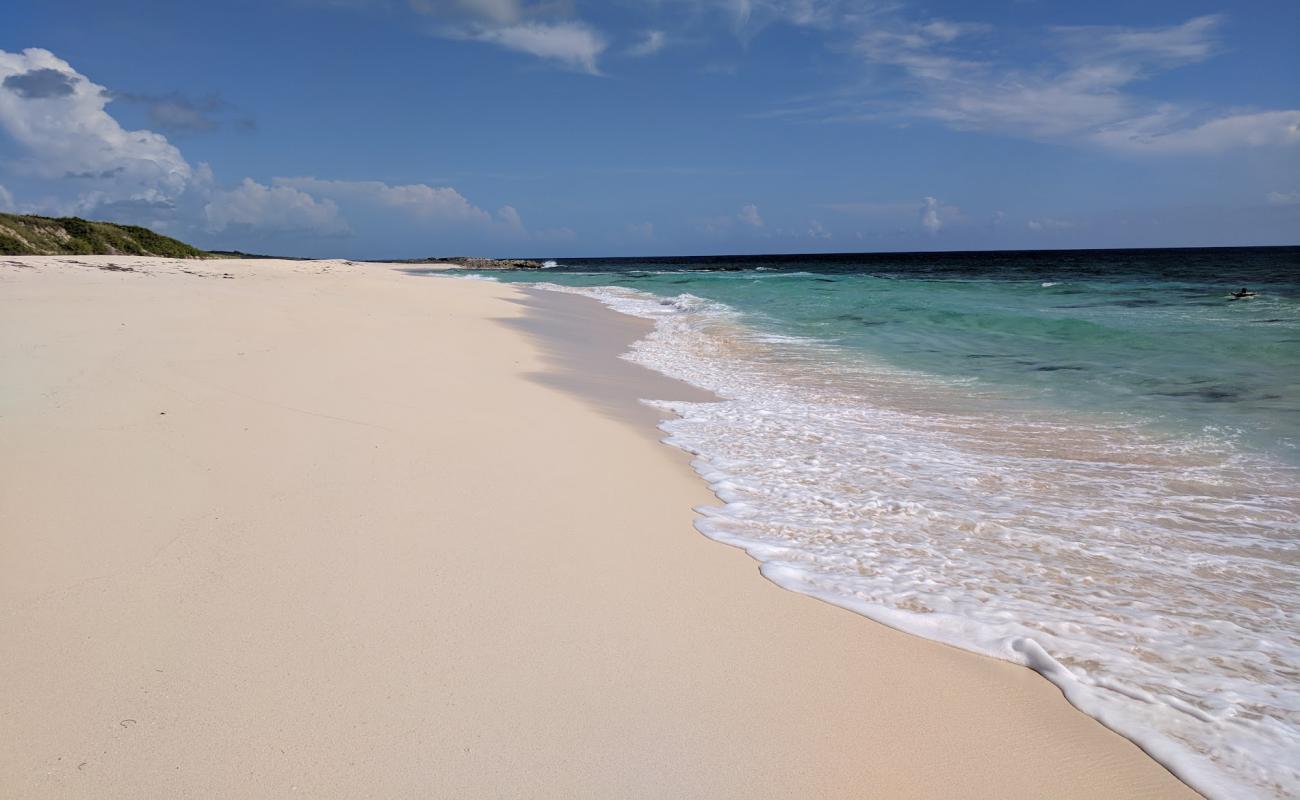 Foto de Surfer's beach con brillante arena fina superficie