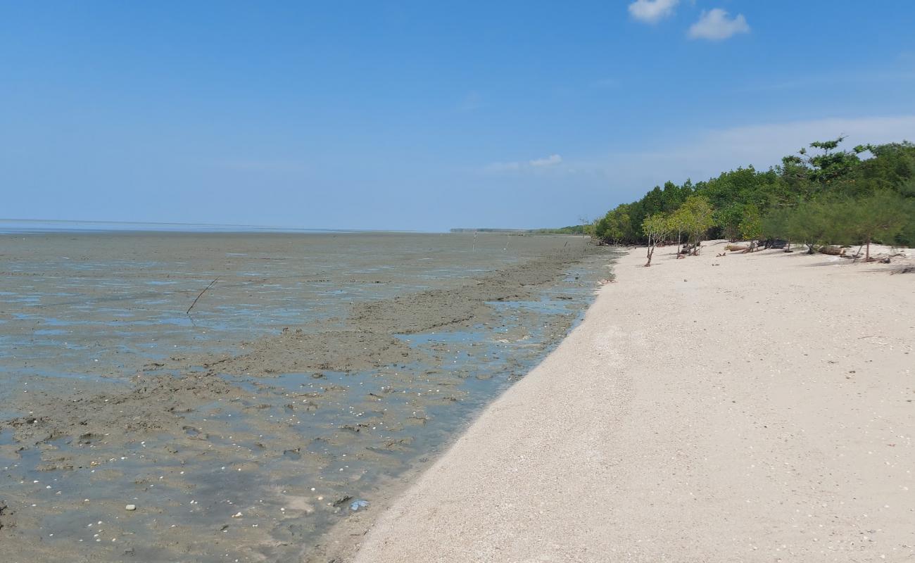 Foto de Sungai Kajang Beach con arena de concha brillante superficie