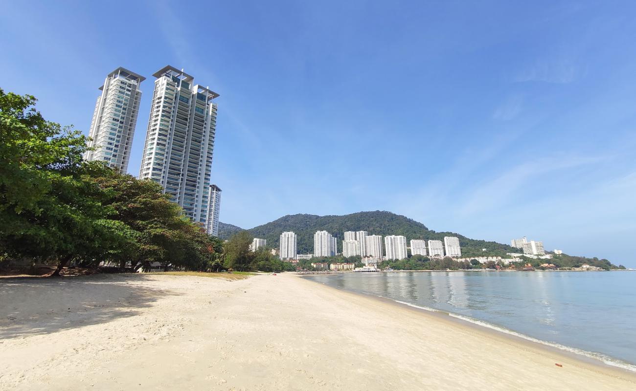 Foto de Tanjung Bungah Beach con arena brillante superficie