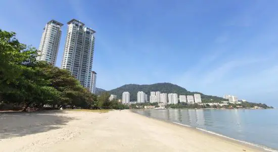 Tanjung Bungah Beach