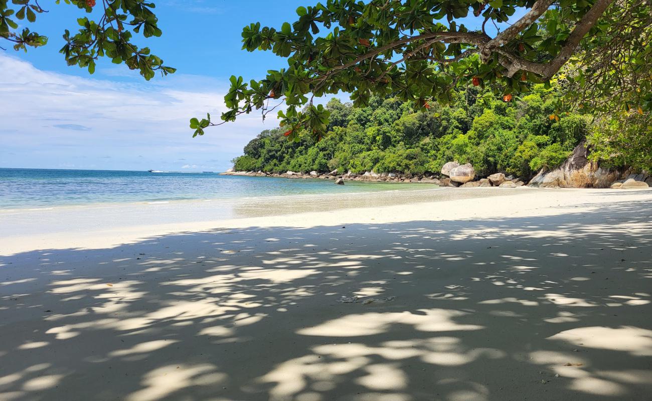 Foto de Teluk Segadas Beach con arena brillante superficie