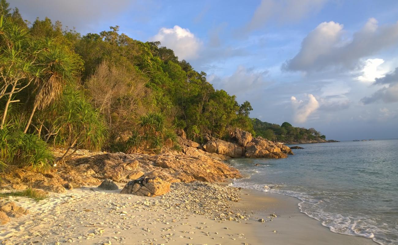 Foto de Cenderawasih Beach con arena fina y guijarros superficie