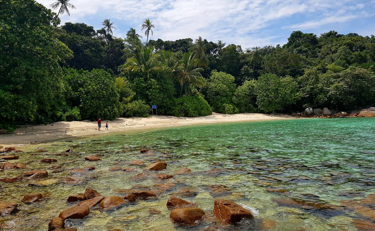 Foto de Adam and Eve Beach con arena brillante superficie