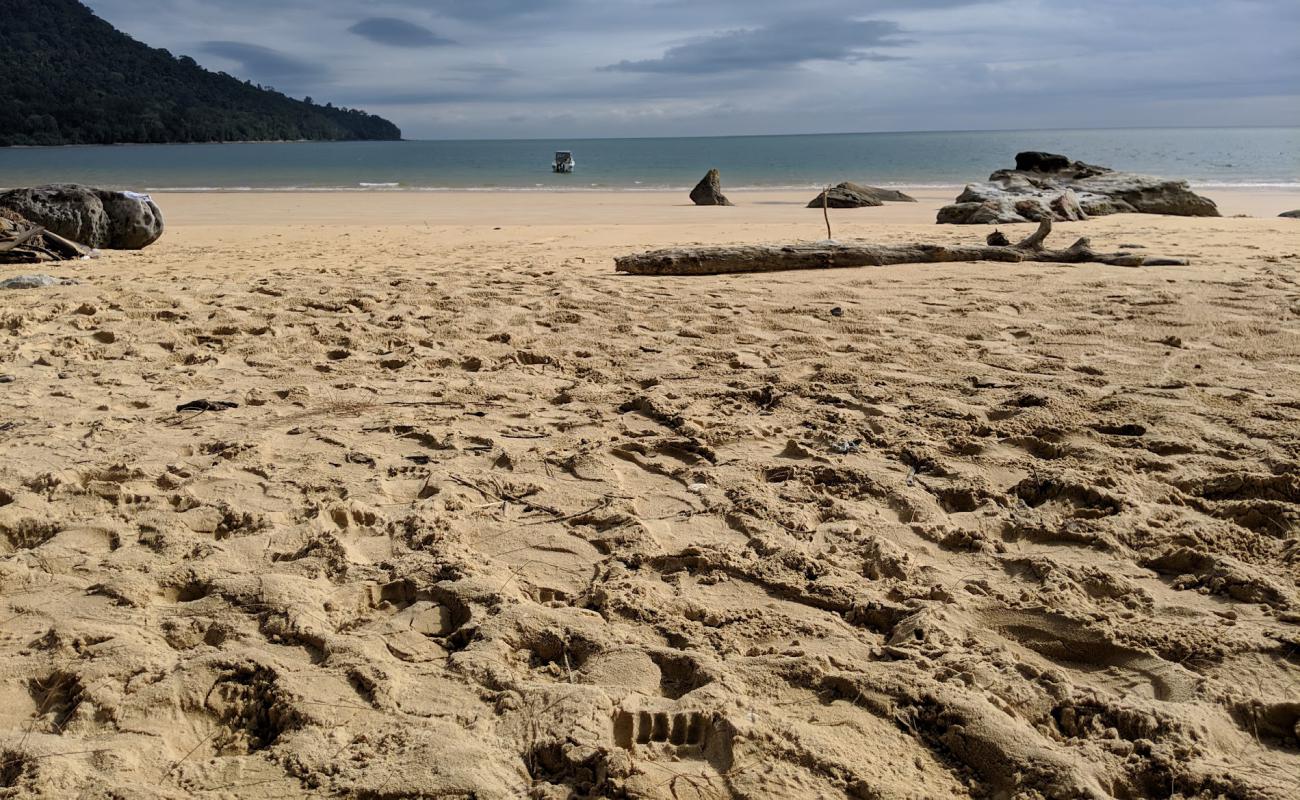 Foto de Telok Pasir Beach con arena brillante superficie