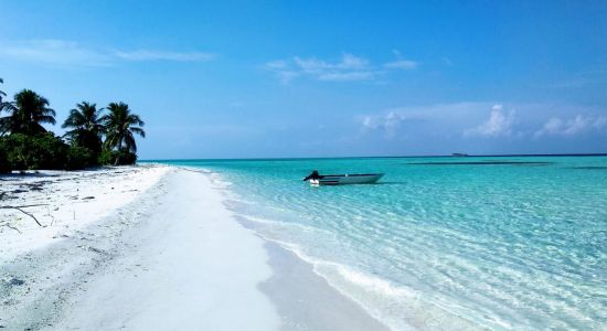 Playa de Kashidhoo