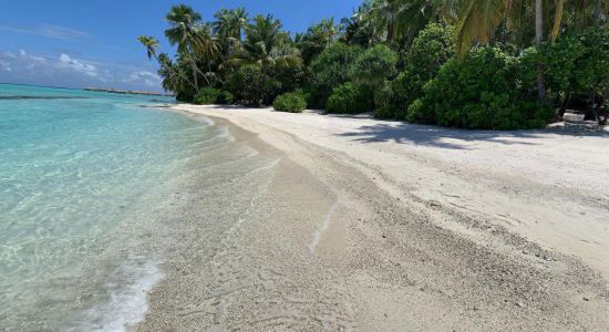 Lhavaddoo Beach