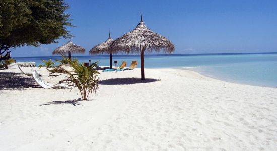 Playa Di Alberto