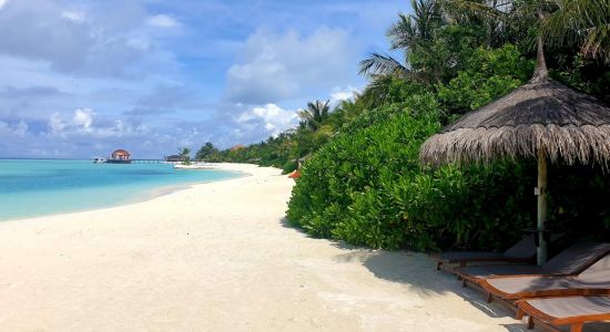 Playa de Maadhoo