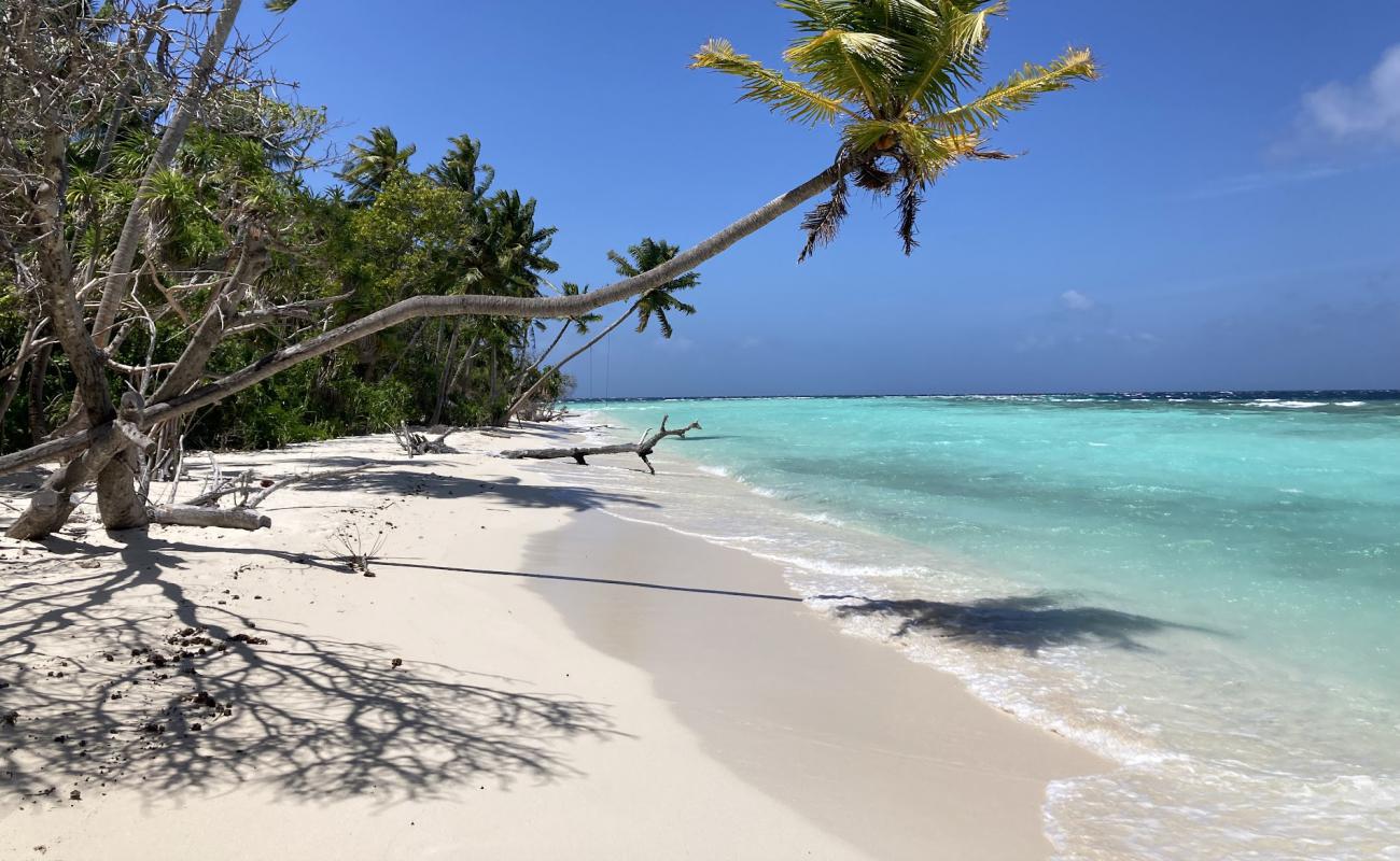 Foto de Omadhoo Beach con arena blanca superficie