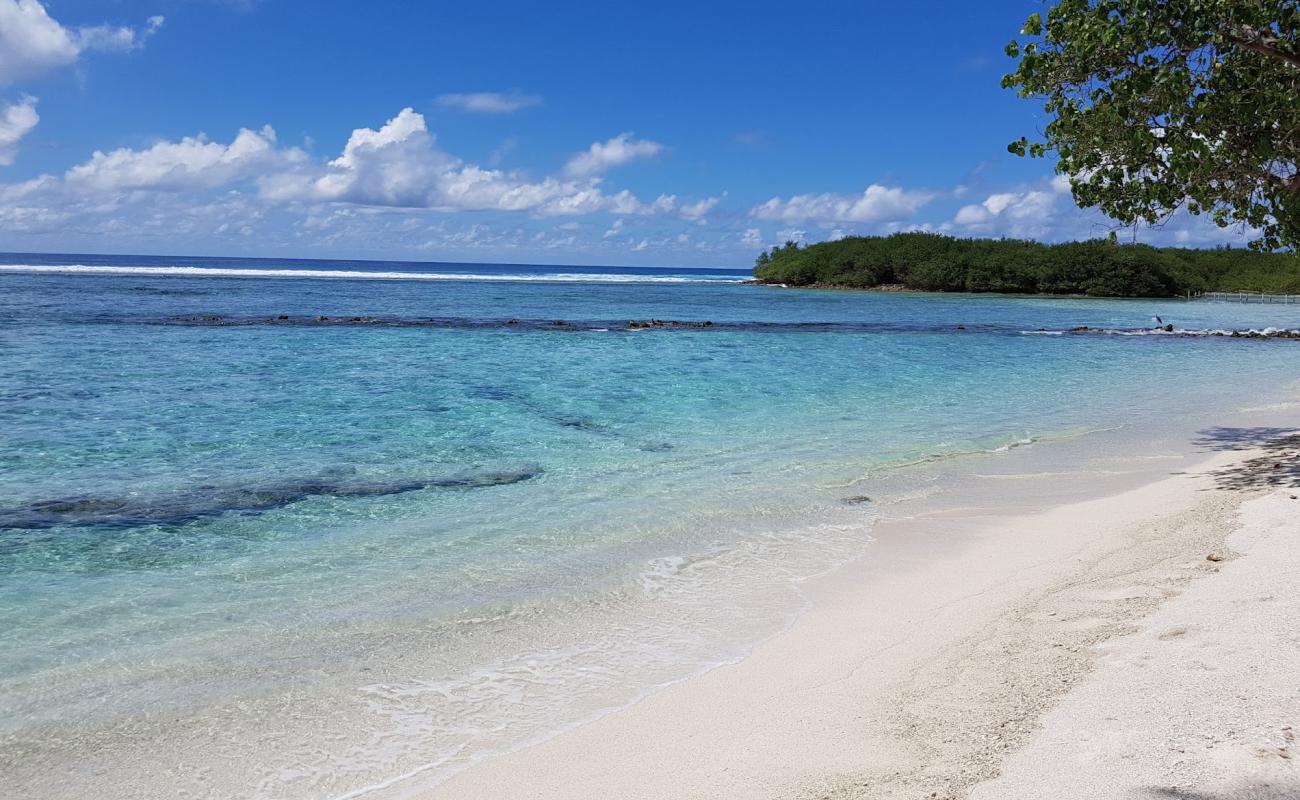 Foto de Canopus Retreat Thulusdhoo con arena blanca superficie