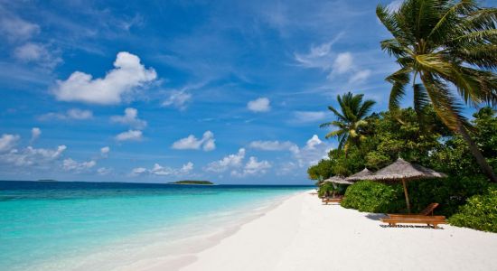 Playa de la Isla Fonimagoodhoo