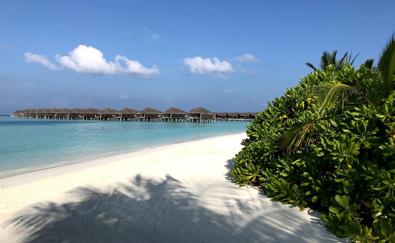 Foto de Playa de la Isla Kihavah Huravalhi con arena fina blanca superficie