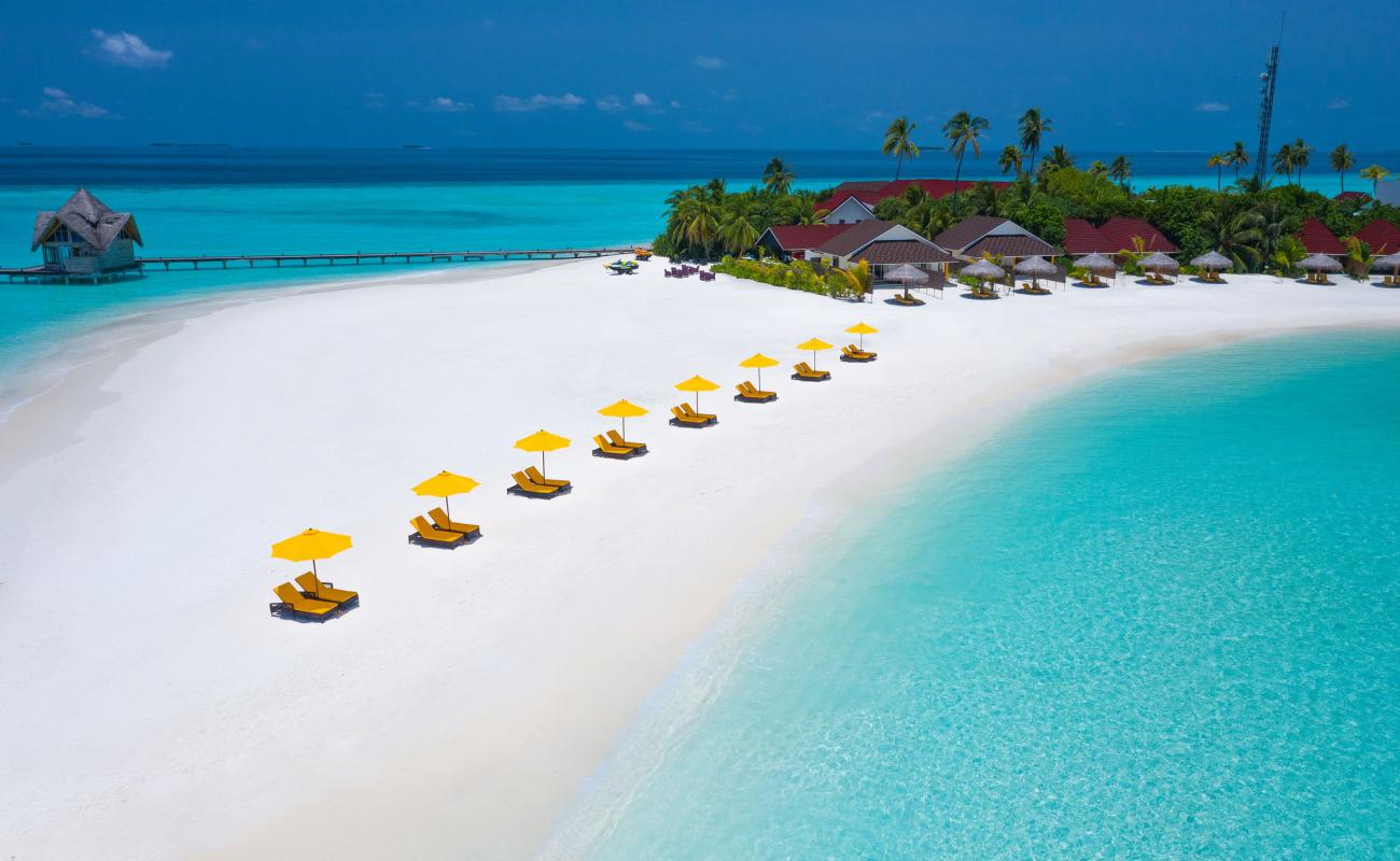 Foto de Playa de la Isla Dhigufaru con arena fina blanca superficie