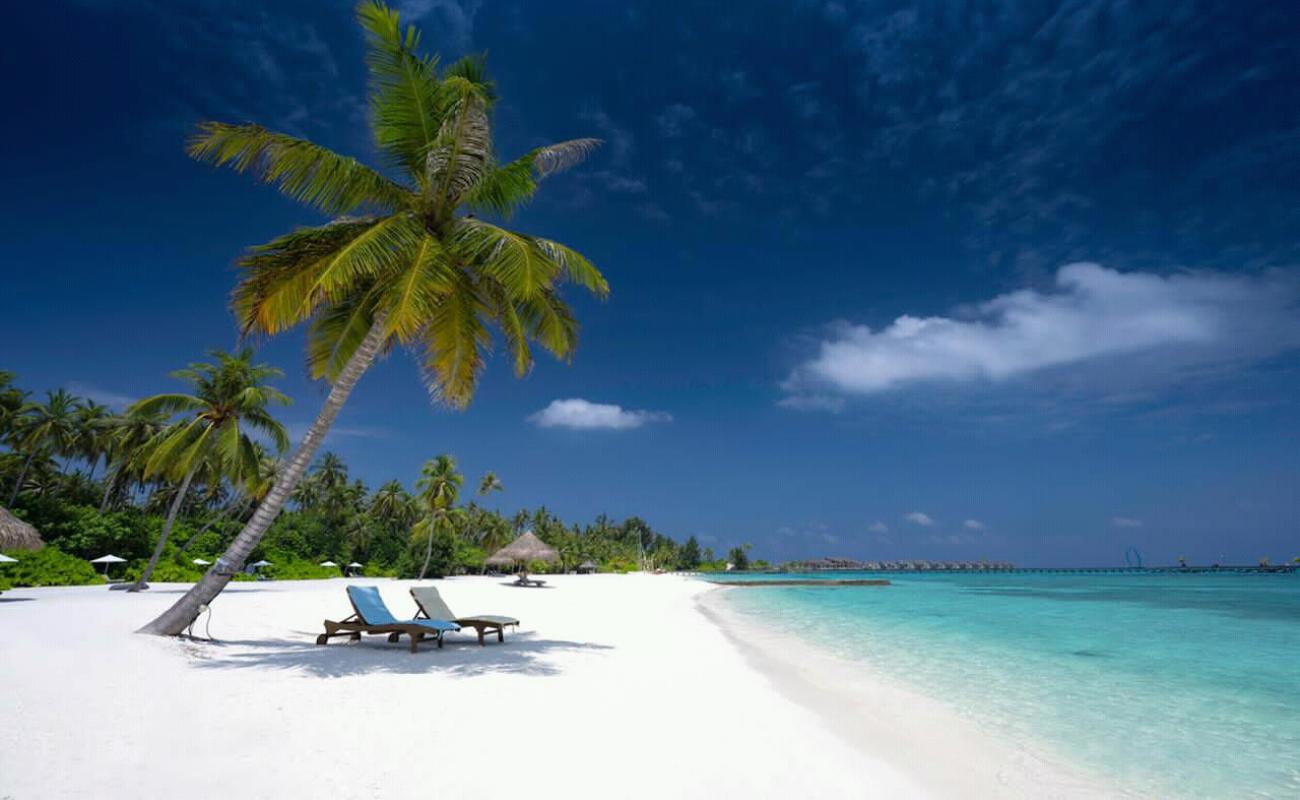 Foto de Playa de la Isla Kanifushi con arena brillante superficie