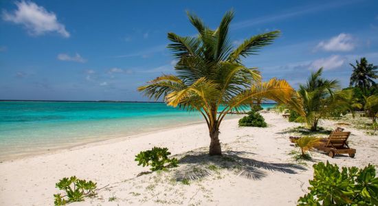 Playa de la Isla Meedhupparu