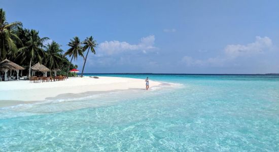 Playa de la Isla Filaidhoo