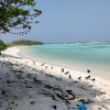 Nevi Manadhoo Beach