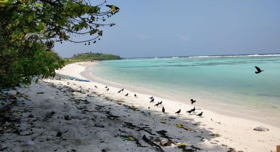 Nevi Manadhoo Beach