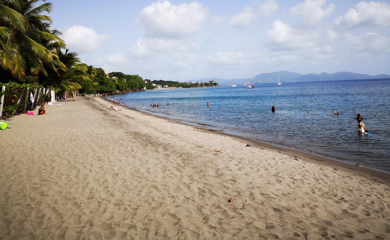 Foto de Plage de l'Anse Collat con arena de concha brillante superficie