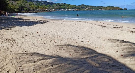 Plage des Raisiniers