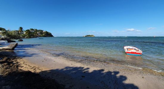 Le Manguier beach