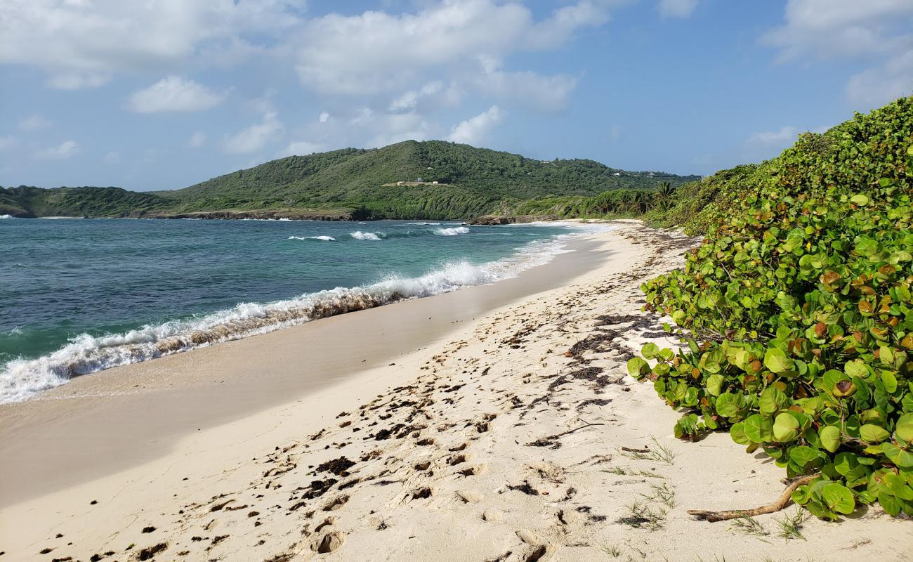 Foto de Plage de Cap Macre con guijarro fino claro superficie