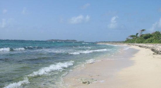 Anse Baleine beach