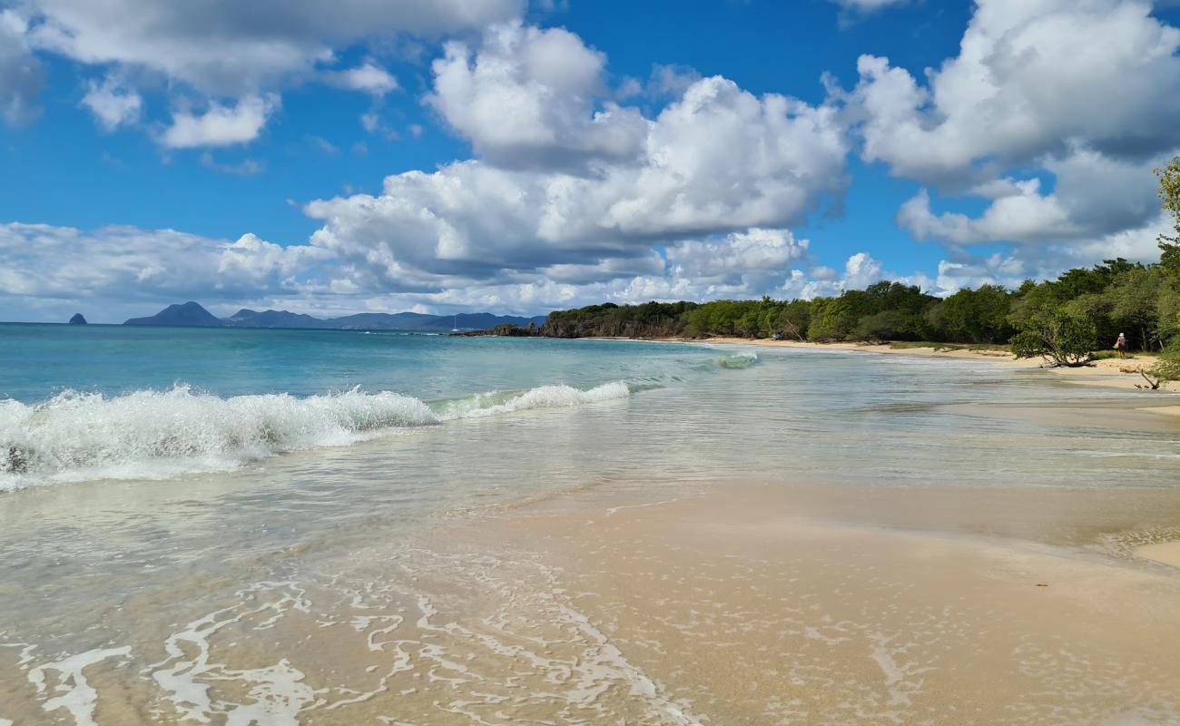 Foto de Petite Anse des Salines con arena brillante superficie