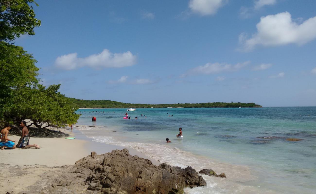 Foto de Anse Meunier beach con arena brillante superficie