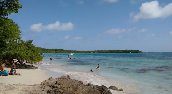 Anse Meunier beach