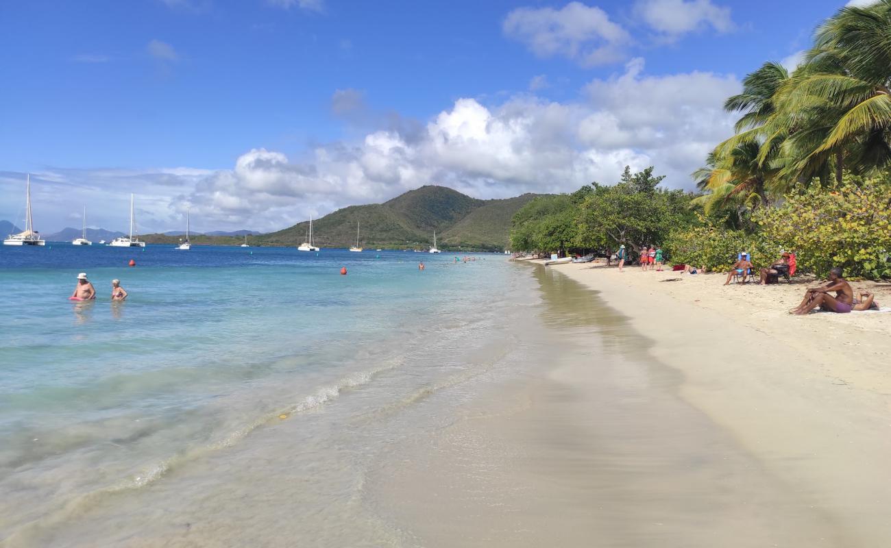 Foto de Playa de Sainte-Anne con brillante arena fina superficie