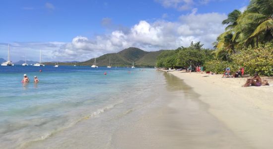 Playa de Sainte-Anne