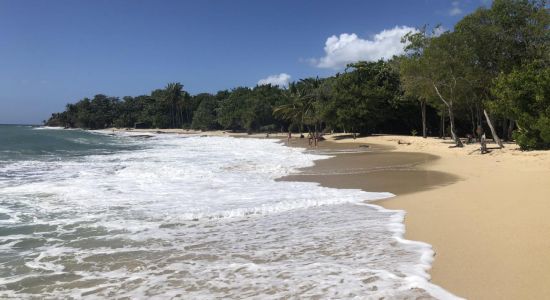 Plage Anse desert