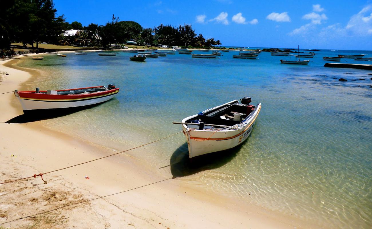 Foto de Anse La Raie Beach con arena brillante superficie