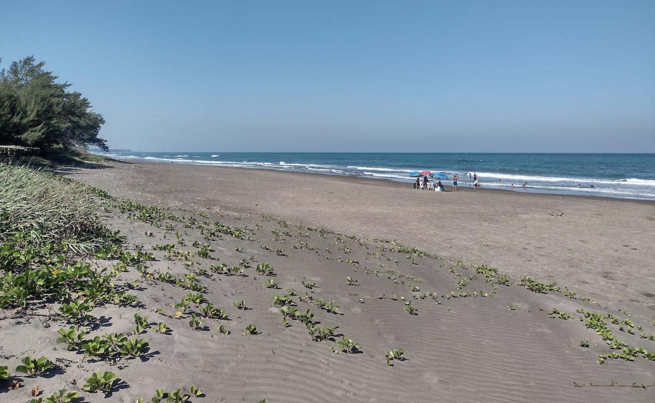 Foto de Playa Los Pinos con arena brillante superficie