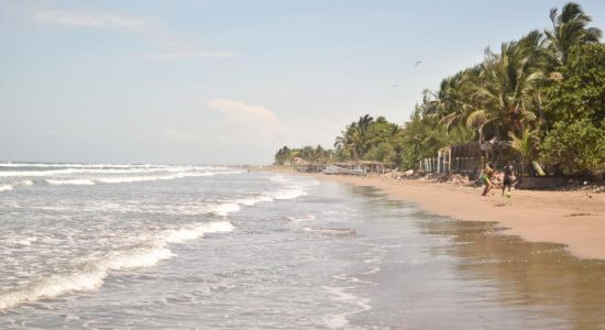 Playa Mata de Uva