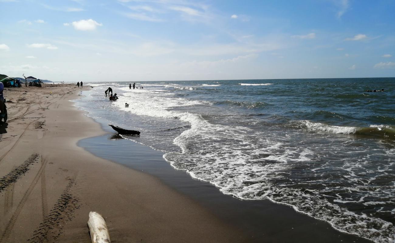 Foto de Playa de Alvarado con arena gris superficie