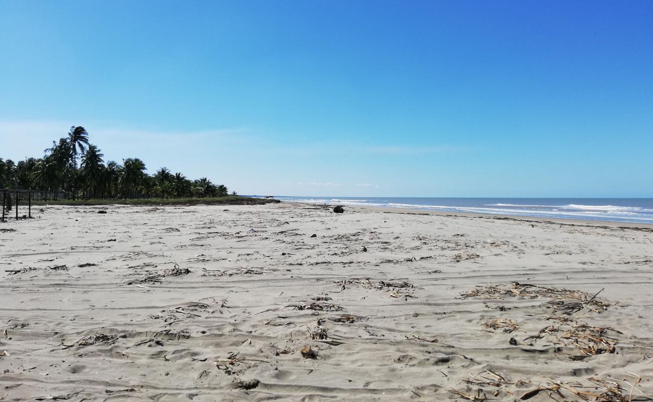 Foto de Playa Pico de Oro con arena brillante superficie