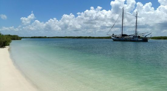 Playa Río Lagartos