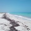 Playa Las Coloradas