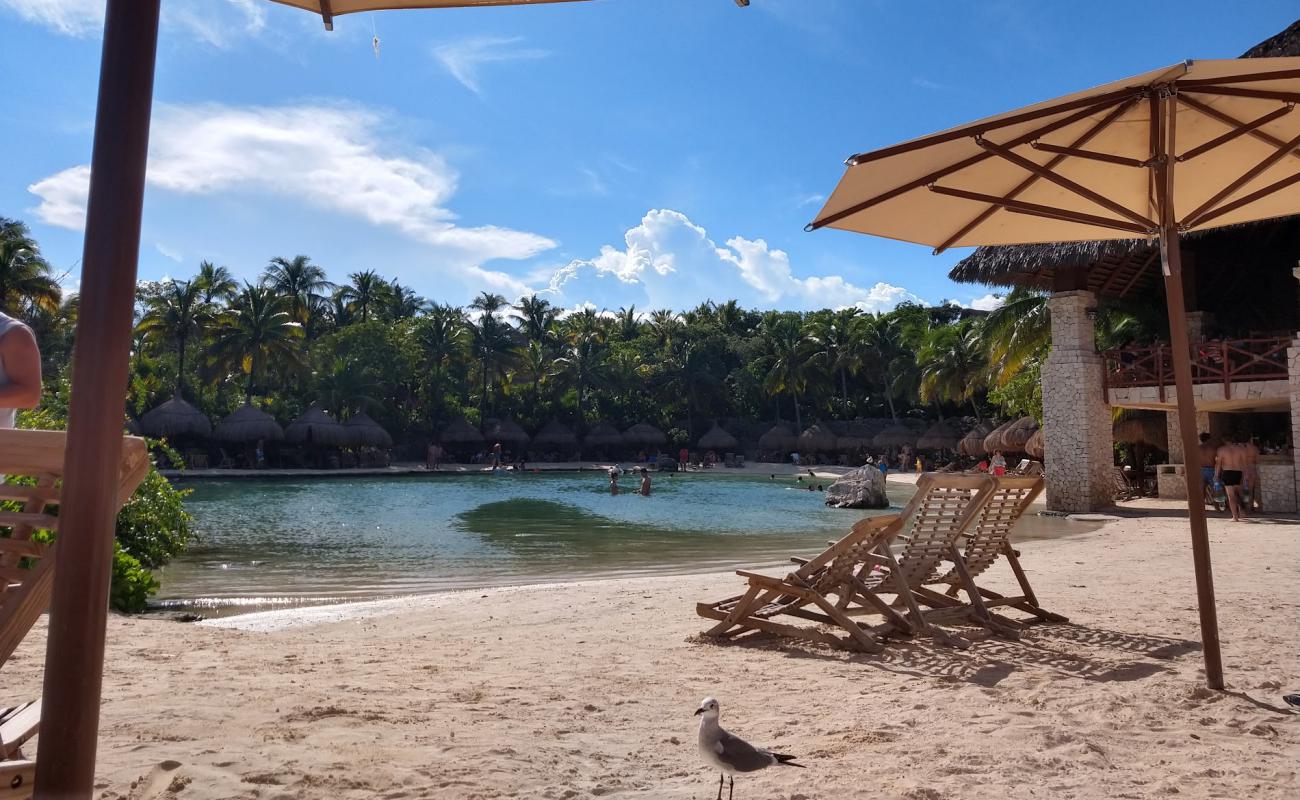 Foto de Delphinus Xcaret beach con arena brillante superficie