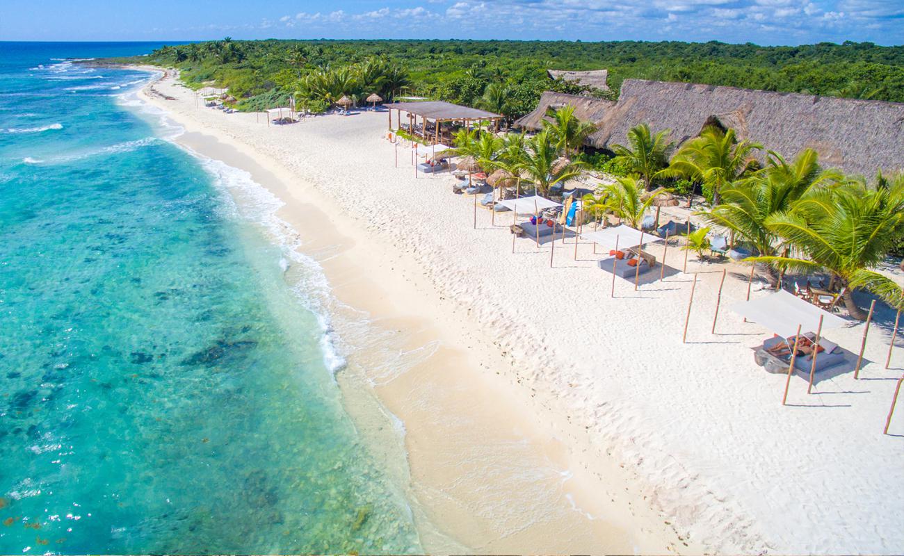 Foto de Playa Punta Venado con brillante arena fina superficie