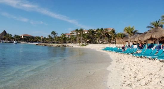 Playa Catalonia Yucatán