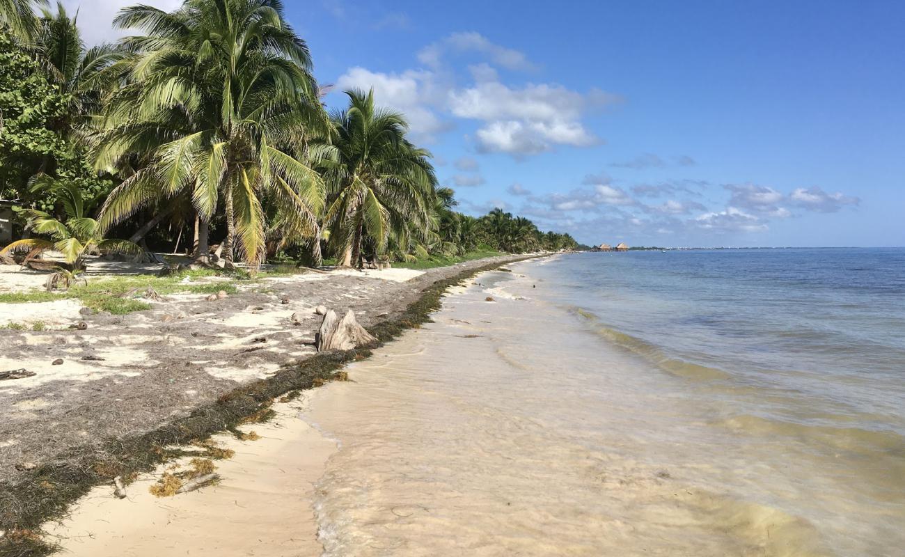 Foto de Maya Chan beach con arena brillante superficie